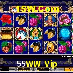 Segurança 2FA 55WW Vip