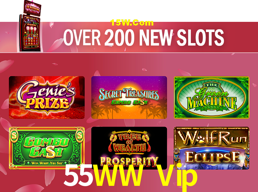 Flash Promotion 55WW Vip